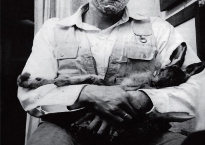 Beuys, Joseph. Como explicar pintura para uma lebre morta? 1965.